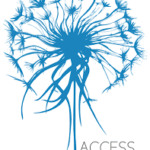 access bar